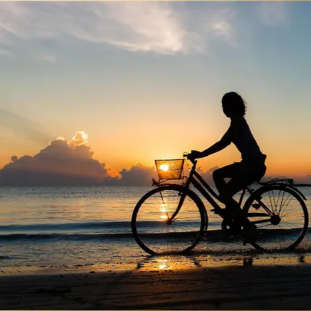 Waldsiedlung Dhh Waldhaus 6 * Korswandt