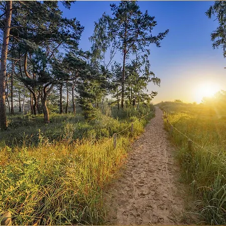 Waldsiedlung Dhh Waldhaus 6 * 코르스반트